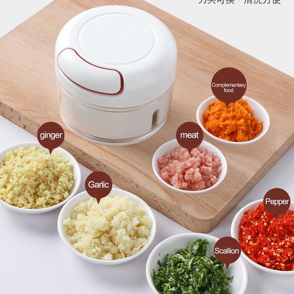Multi-functional High Quality Mini Food Chopper Regular priceRs.449.00
